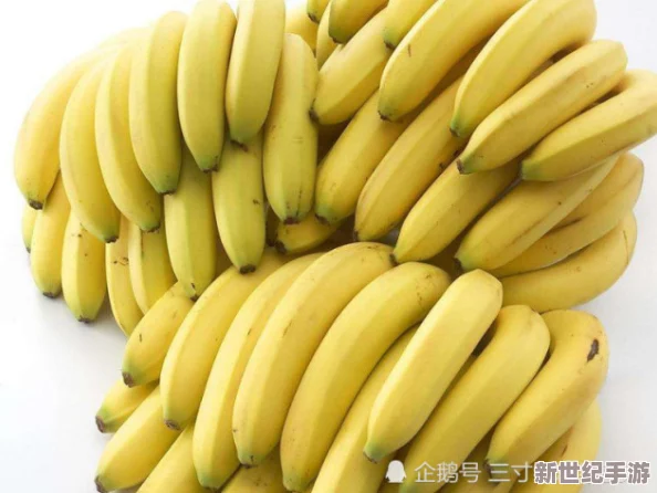 草莓香蕉榴莲丝瓜黄瓜茄子：新鲜水果与蔬菜的营养搭配，助力健康饮食新风潮！