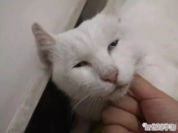 美女撅屁股后进gif动态图，展现性感魅力与诱惑，令人目不转睛的精彩瞬间尽在其中！