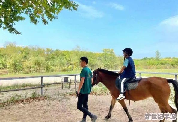 一小孩和妈妈胡萝卜：惊人发现！竟然用胡萝卜制作出令人无法置信的艺术品，震惊全家人！